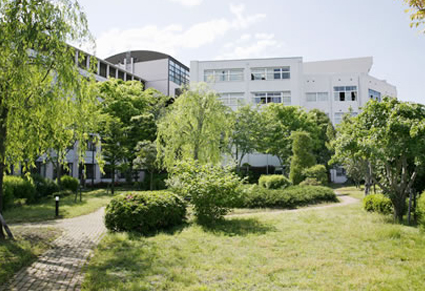 芝生の広場